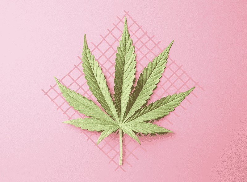 Cosas que no sabías que se podían hacer con marihuana
