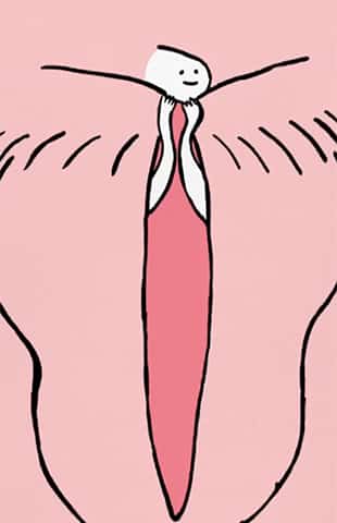 Le clitoris