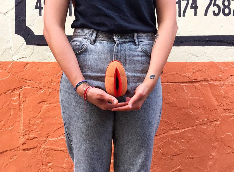 vulva