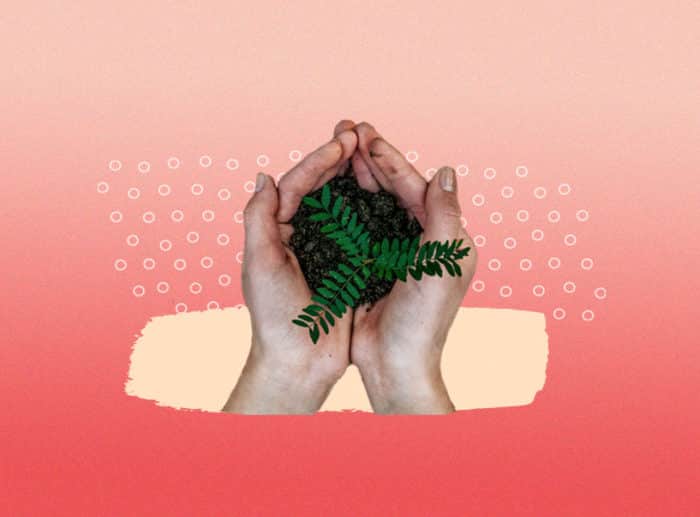 ecofeminismo