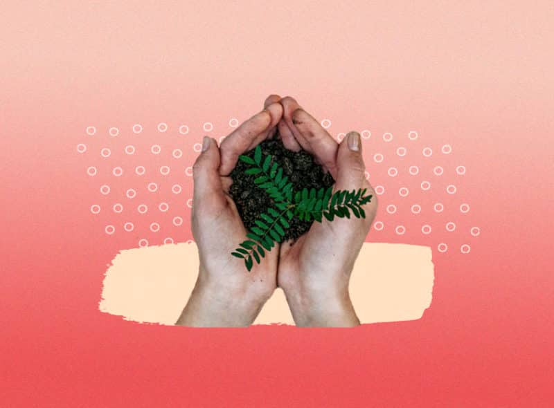 ecofeminismo
